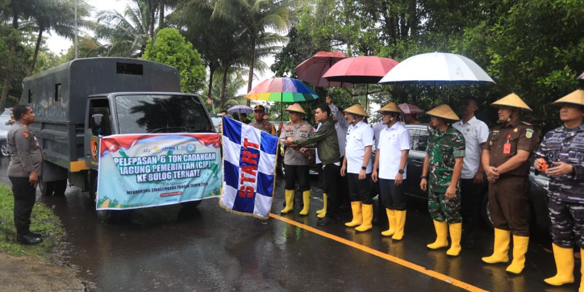 Polda Maluku Utara Dukung Swasembada Pangan, Tanam Jagung Serentak dan Salurkan Hasil Panen ke Bulog
