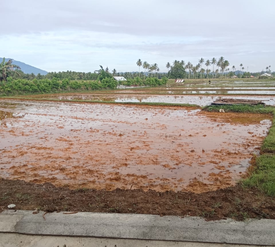 PT ARA dan PT JAS Didesak Bertanggung Jawab Atas Dugaan Pencemaran Lingkungan di Haltim
